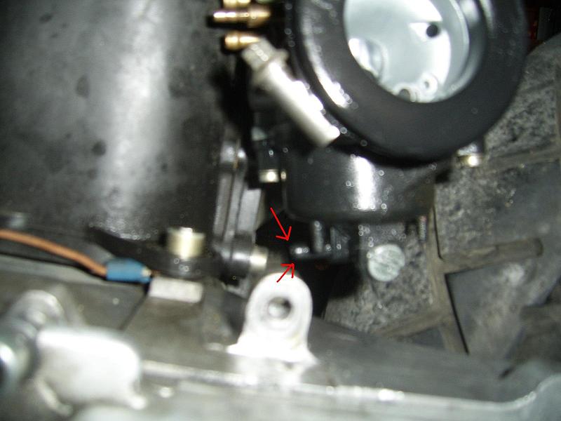 SSA40928.JPG
