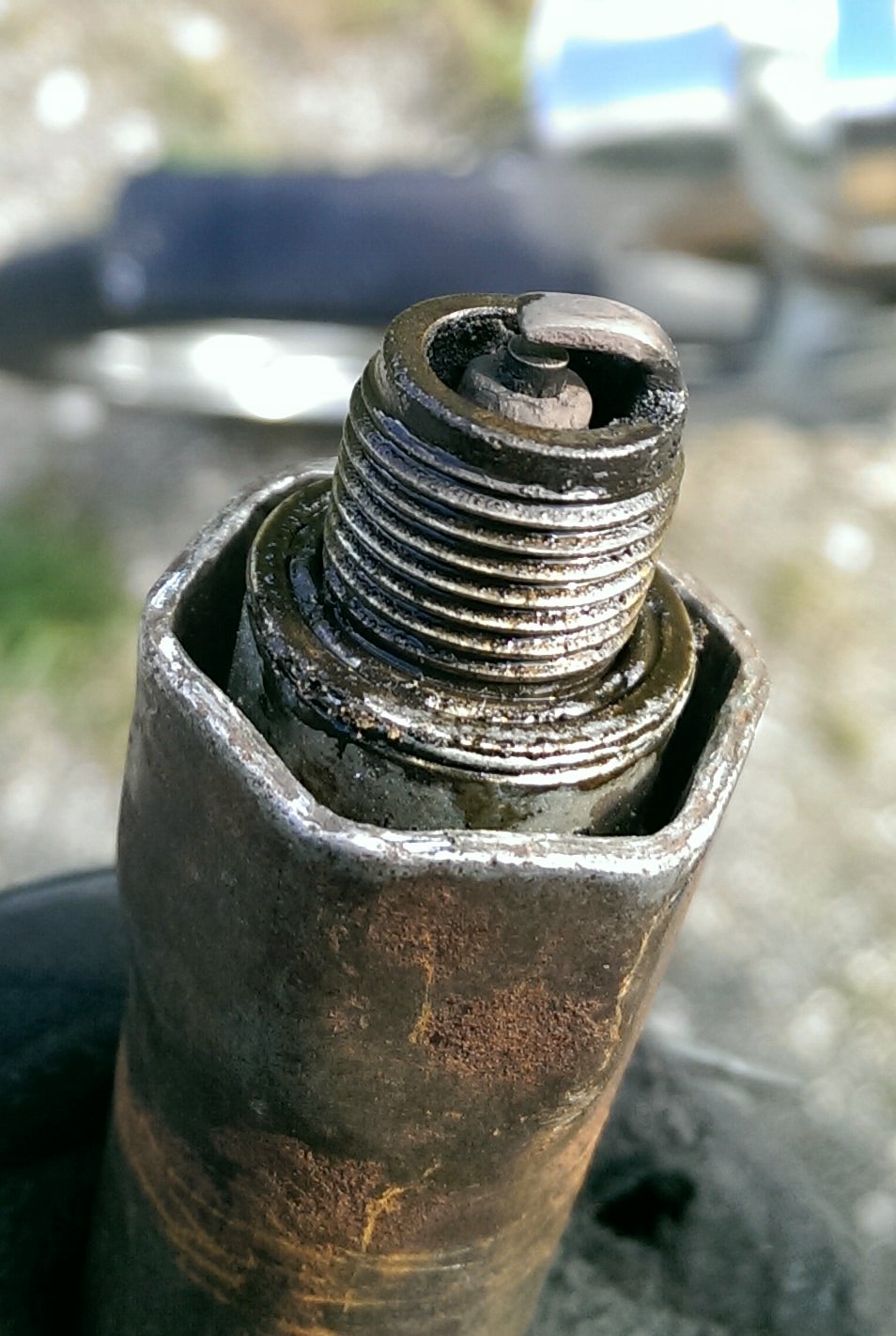 IMAG0010_1.jpg